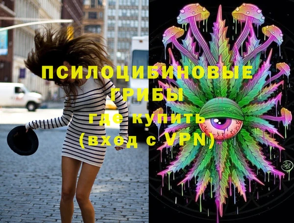 метадон Гусь-Хрустальный