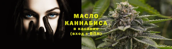 метадон Гусь-Хрустальный