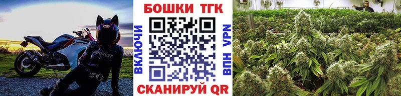 Купить  Урус-Мартан  Конопля VHQ 